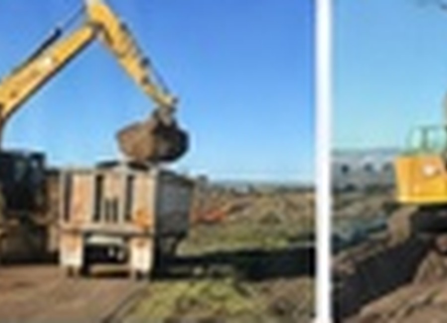 MLD Haulage fleet in action